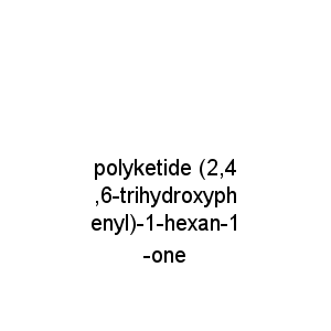 polyketide (2,4,6-trihydroxyphenyl)-1-hexan-1-one